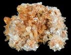 Orange Creedite Crystal Cluster - Durango, Mexico #51652-1